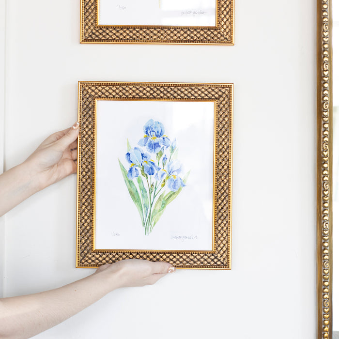 Dwarf Bearded Iris Archival Art Print — hands holding the Trellis-framed print against a wall; Susan Gordon