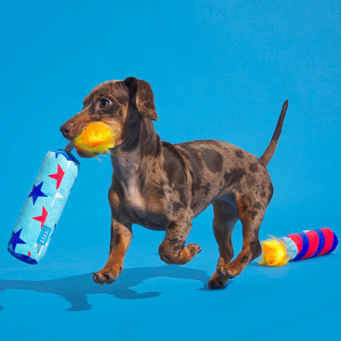 Pet Palette Distribution - BARK Pup-Pup Fireworks Fourth of July Plush Dog Toy Small
