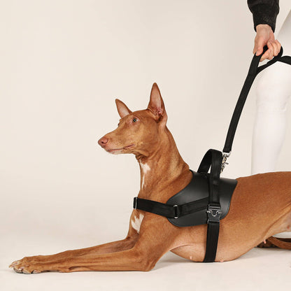 Hozi - Saddle Hands-free Leash : Pink