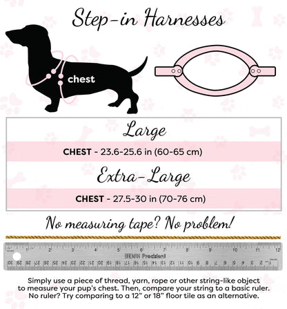 PoisePup - STEP-IN HARNESS - BELLA ROSE