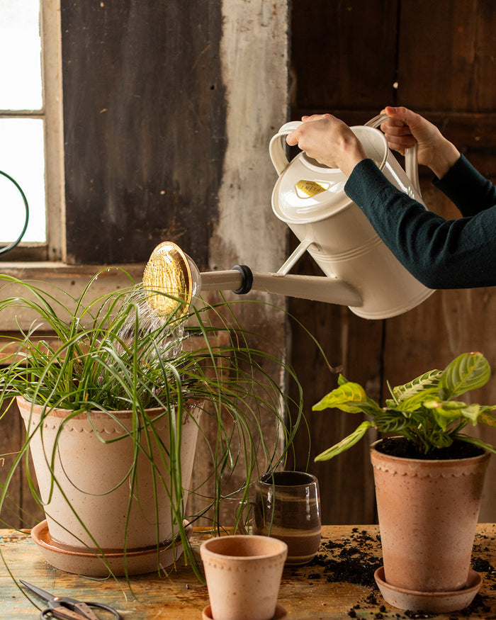 Farmer’s Enameled Watering Can — watering potted plants with the White can; Farmhouse Pottery