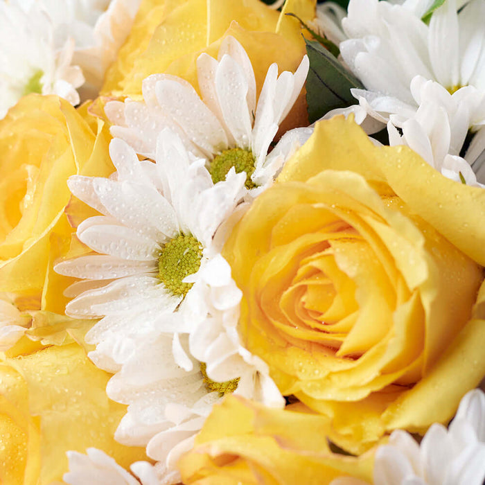 Floral Fantasy Daisy Bouquet. Elegant roses and cheerful daisies, gathered in a floral wrap and tied with a designer ribbon. Mixed Floral Gifts from Monthly Sommelier USA - Same Day USA Delivery.
