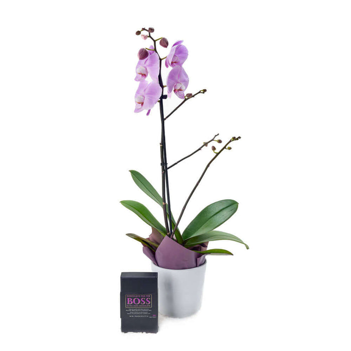 Floral Treasures Flowers Chocolate Gift from Monthly Sommelier USA - Plant Gift - USA Delivery