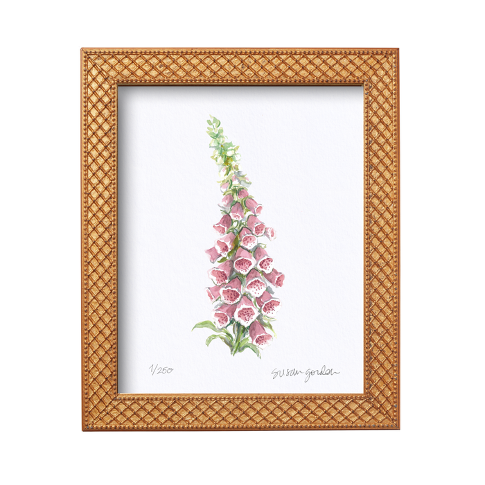 Foxglove Archival Art Print — Foxglove print in the Trellis frame; Susan Gordon