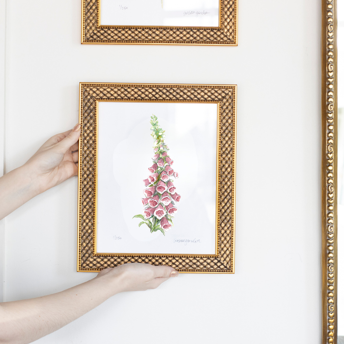 Foxglove Archival Art Print — hands holding the framed Foxglove study against a wall; Susan Gordon