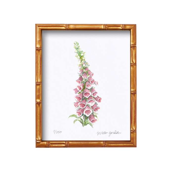 Foxglove Archival Art Print — Foxglove print in the Bamboo-style frame; Susan Gordon