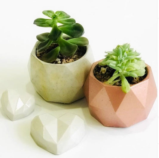 Leonardo Concrete Planter