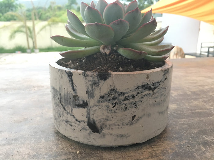 LRB Concrete planter