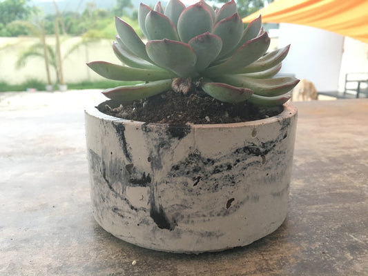 LRB Concrete planter