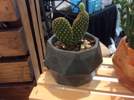LRB Concrete planter