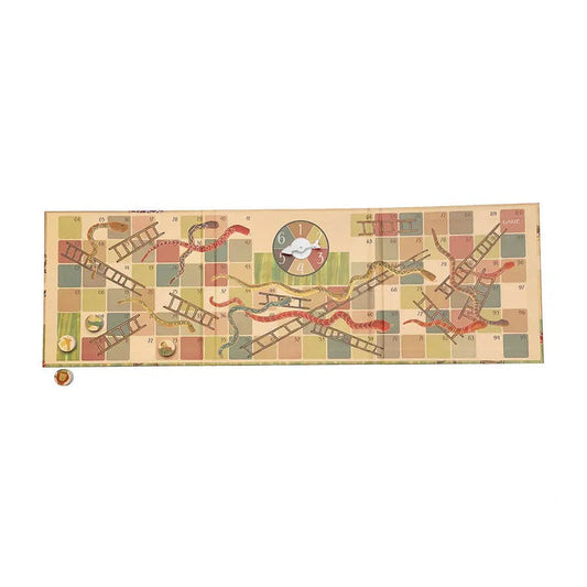 Magnetic Snakes And Ladders