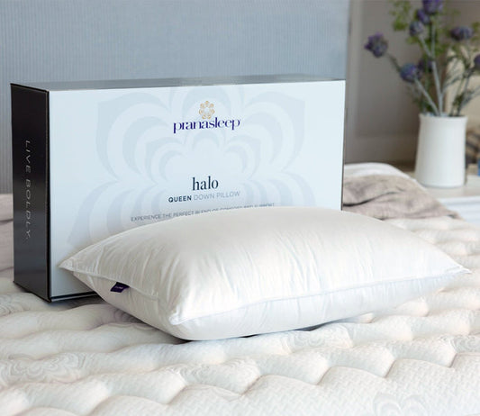 PranaSleep Halo Down Pillow by PranaSleep in roomscene with box