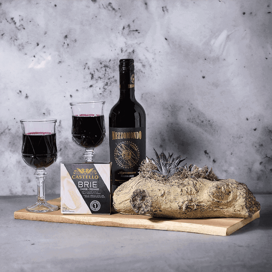 Pugliese Red Wine & Succulent Gift, wine gift, wine, gourmet gift, gourmet, plant gift, plant