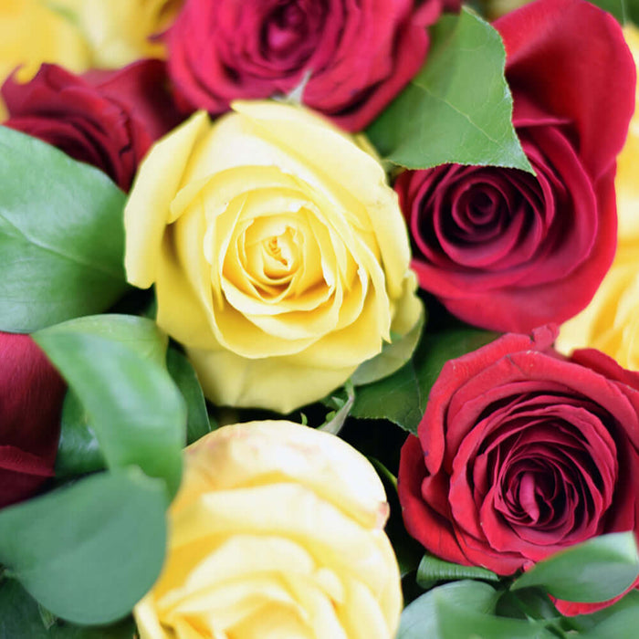 White Tea Roses - Same Day Flower Delivery - Flower Gifts