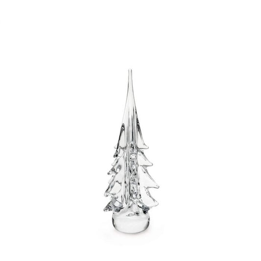 Spruce Evergreen Tree