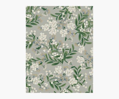 Cornflower Wallpaper Sample - Grey