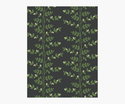 Climbing Vines Wallpaper Sample - Black