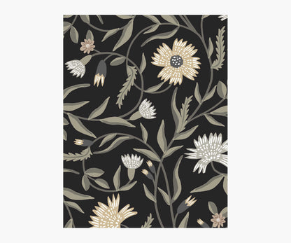 Aster Wallpaper Sample - Black