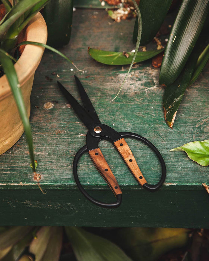 Walnut and Iron Utility Shears — shears beside potted seedlings; Farmhouse Pottery