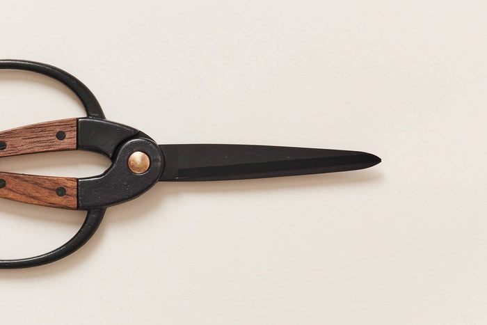 Walnut and Iron Utility Shears — close view of blades and handle inserts; Farmhouse Pottery