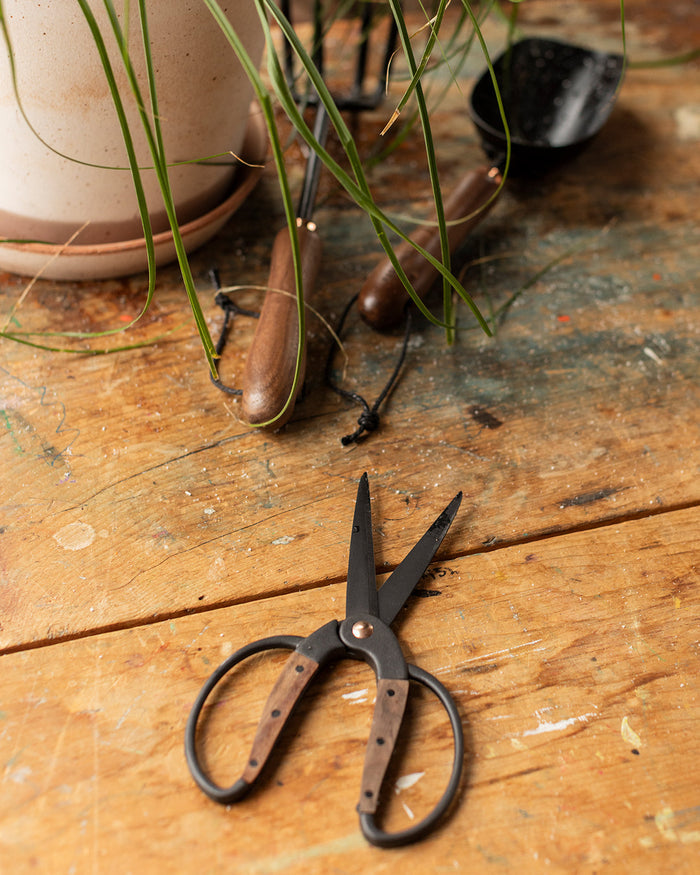 Walnut and Iron Utility Shears — shears beside a houseplant; Farmhouse Pottery